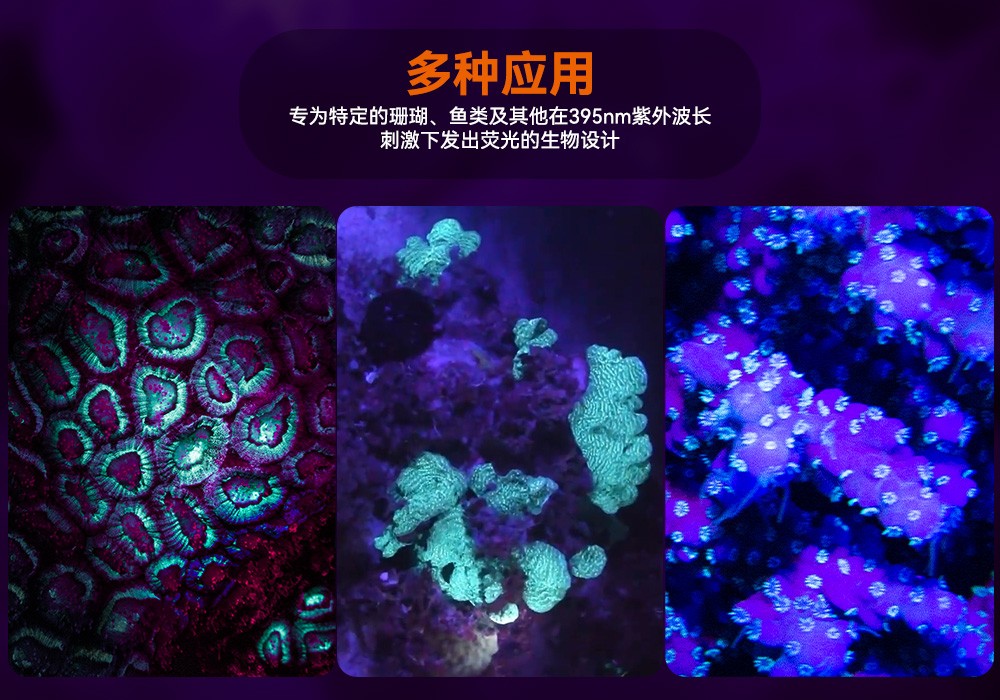 D530 UV 紫外線 潛水攝影照明_潛水照明_水(shuǐ)下攝影照(zhào)明_潛水攝影補光燈_ 久久国产三级精品OrcaTorch